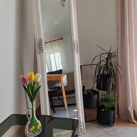 Apartment Bellus Ražanj