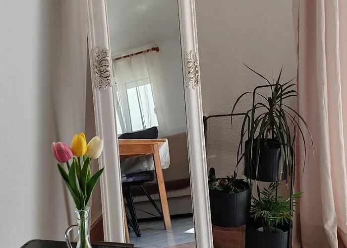 Daire Bellus Ražanj